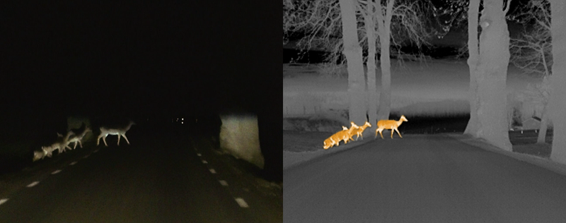 Illustration for article titled Why Nightvision In Cars Isn't Totally Useless